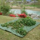 축복농장 이미지