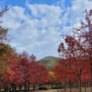 환경시설공단(달성사업소) 이미지