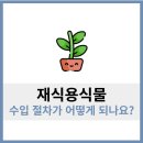 [업무후기] 재식용식물, 수입 어떻게 하나요?