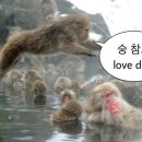 달리GO