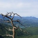 닷돈재 이미지