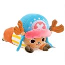 (주)건강누리 이미지