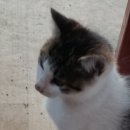 옥산낚시터 이미지