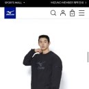 미즈노모다