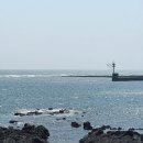 제주전복물회 | [제주] 서귀포 블루리본받은 전복물회맛집? 공천포식당 솔직후기