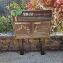 밤골여울마당 이미지