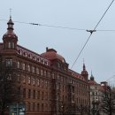 삼보별 | 🇸🇪스웨덴에서 처음 보내는 메리크리스마스🎄 + PN 발급 완료, ID 카드 만들기까지-드디어 정착민인건가