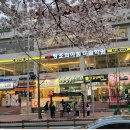 김해분성고등학교 이미지