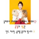 연남동 머리 잘하는곳 살롱드봄봄 겨울염색 (애견동반가능한미용실)