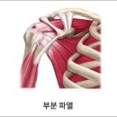 뉴캔운동센터