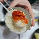 푸른바다생선회 이미지