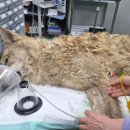 (주)보람약품 이미지