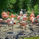 옹드빌라 이미지