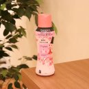 블루밍명품세탁 이미지