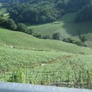 꼴두바위 이미지