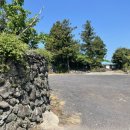 기발한식당 이미지