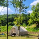 파파스 캠핑장 | [천안] 파파스캠핑장 후기(사이트, 화장실 등)