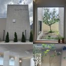커민(comein) | 원주카페추천 반곡동 대형카페 "커민" 반려동물동반가능+주차편함