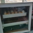 환이네농장 이미지