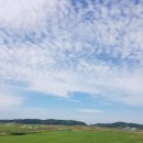 270-4020 | [유니아일랜드CC] OUT코스 후기