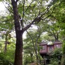 용인자연휴양림 숲속체험관 이미지