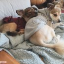 허그안리트릿 이미지