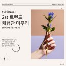 네클(NACL)