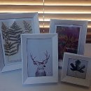 꽃꽃이 고급 이미지