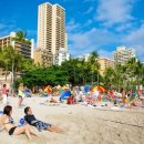 와이키키 이미지