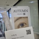 중앙동 | 안산 속눈썹펌 맛집, 어텀래쉬 안산점 - 홍콩여행 전 준비 중앙동 속눈썸펌 내돈내산 후기