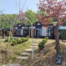 왕곡애견동반펜션 이미지