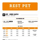 펫소풍 이미지