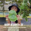 세아농장 이미지