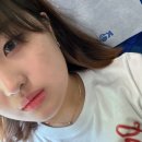 완벽한 걸스나잇