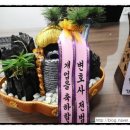 행정사사무실 이미지