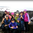 환상의섬 이미지