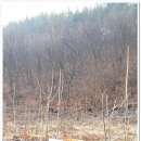 과반농장 이미지