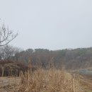 RE:트럼프왕과 기사이야기...7866...킴버가 님들께 보내온 메세지 이미지