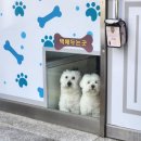 모든 것은 제자리로