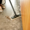 한국크리닝 이미지