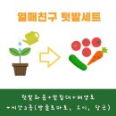 지평선기프트