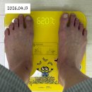 마운자로 후기 식욕억제제 병행 26일차 기록 -8.18kg 일본 다녀오고 또 살찜