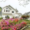 레몬테라스 이미지