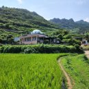 남해-274 이미지