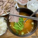 [대구]식기록/ 군위식당 고기밥/루시드 푸딩빙수/왕거미식당/삼삼막창 솔직 후기