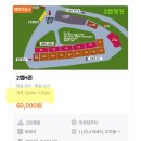 용인 싱글벙글 벚꽃 캠핑장 2캠H존 사이트 추천, 용인 벚꽃 실시간 개화 상황