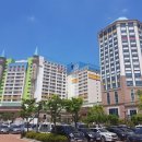 아일랜드 이미지