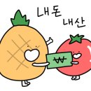 스카이포 이미지