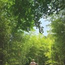 햇살콘도식펜션 | 강릉 아이와 가볼만한 곳 추천 더 좋아진 오죽헌 강추