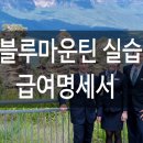 블루마운틴아이피